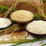 buying rice in bulk industry