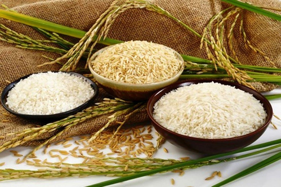 buying rice in bulk industry