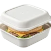 vecteezy_eco-friendly-takeout-container-with-delicious-cheeseburger_67820587